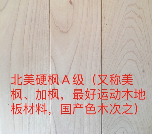 黑龙江运动木地板企业